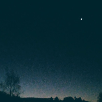 Itsellesi lupasit