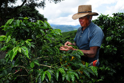 Finca Fil Andia